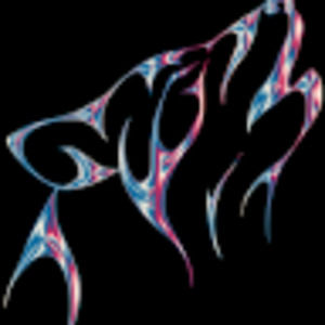 Meet your Posher, Levi